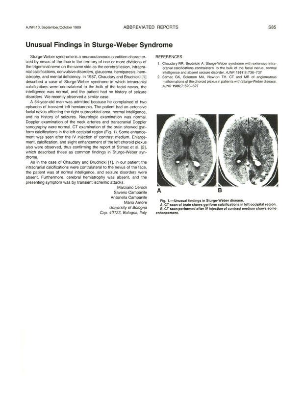 PDF extract preview