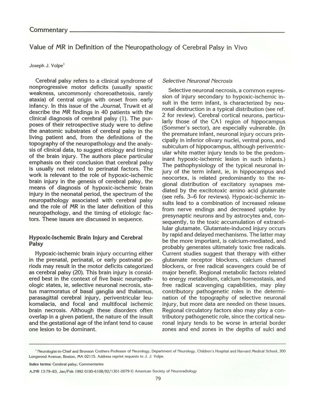 PDF extract preview