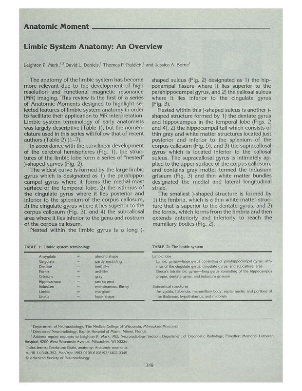 PDF extract preview