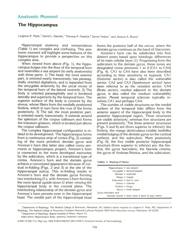 PDF extract preview