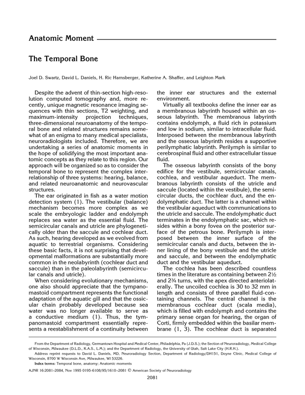 PDF extract preview