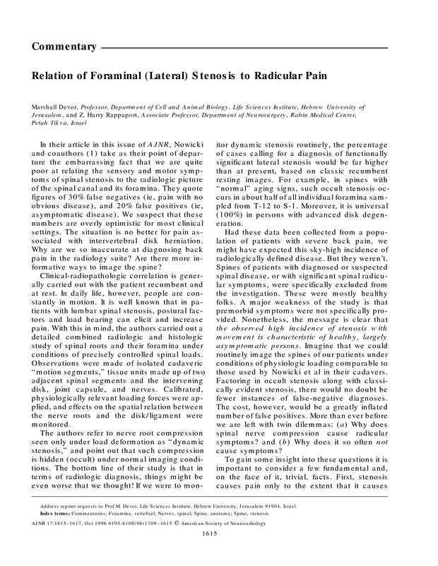 PDF extract preview