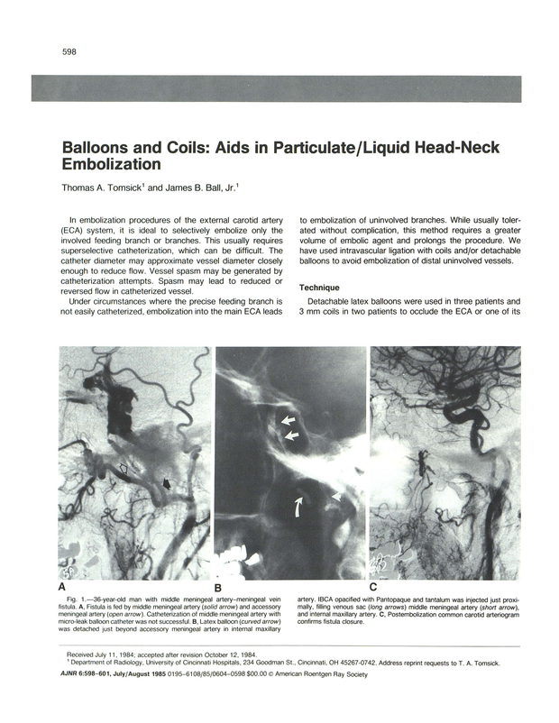 PDF extract preview