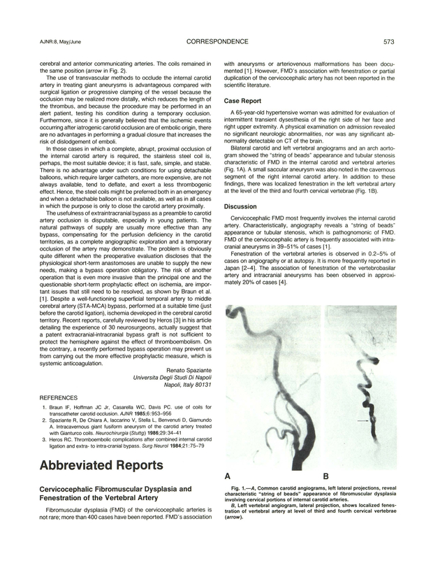 PDF extract preview