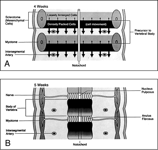 fig 4.