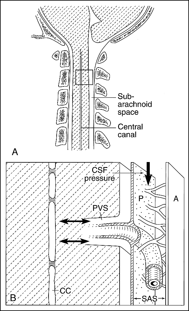 fig 5.