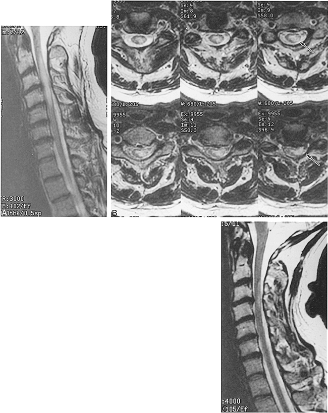 fig 1.