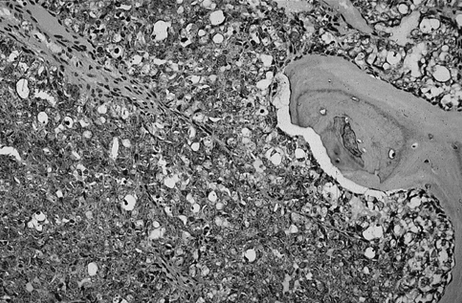 fig 8.