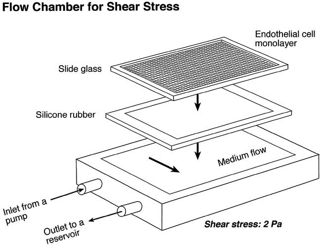fig 2.