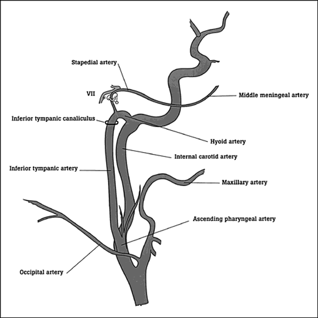 fig 2.