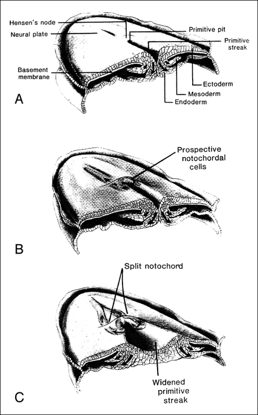 fig 6.