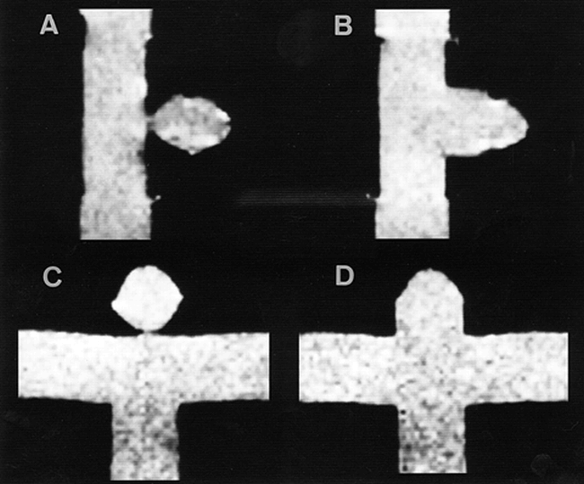 fig 1.