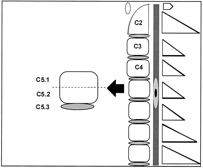 fig 1.