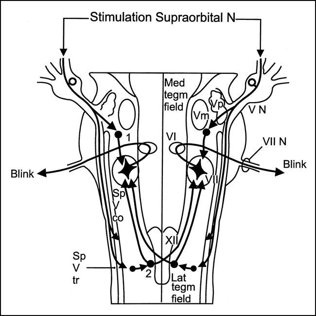 fig 1.