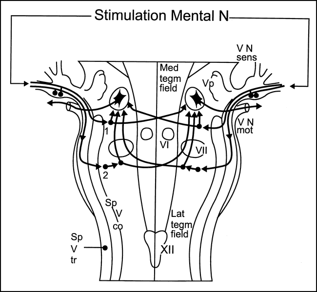 fig 2.
