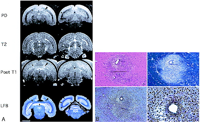 fig 4.