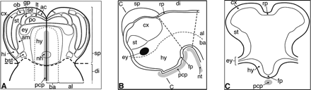 fig 5.