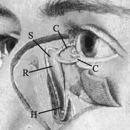 fig 5.