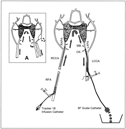fig 1.