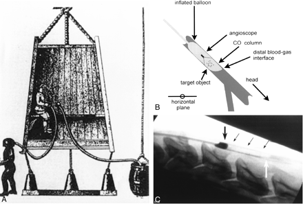 fig 1.