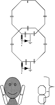 fig 1.