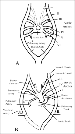 fig 5.
