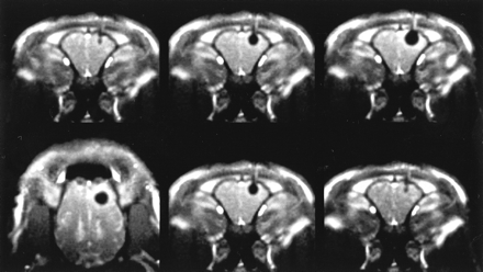 fig 4.