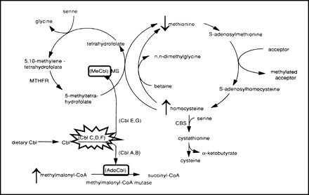 fig 5.