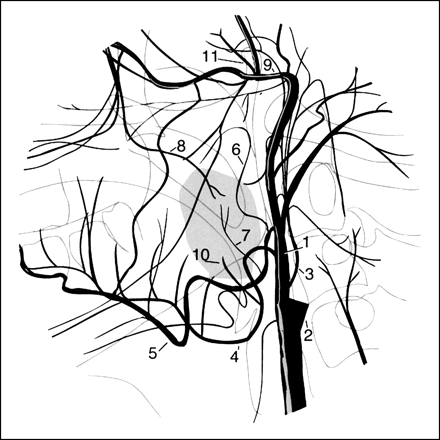 fig 3.