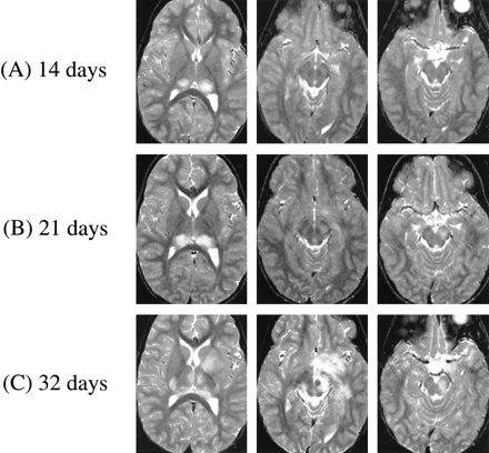 fig 1.