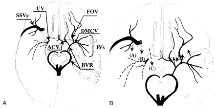 Fig 8.