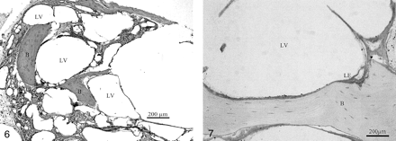 Fig 7.