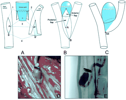 Fig 1.
