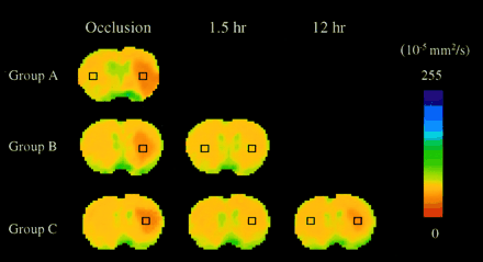 Fig 1.