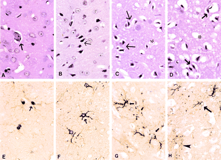 Fig 3.