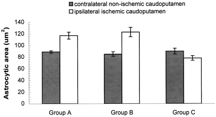 Fig 6.