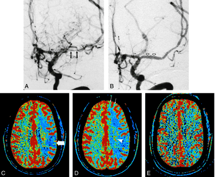 Fig 1.