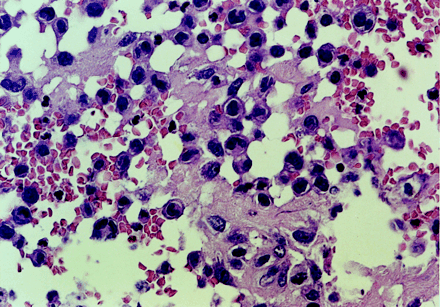 Fig 2.
