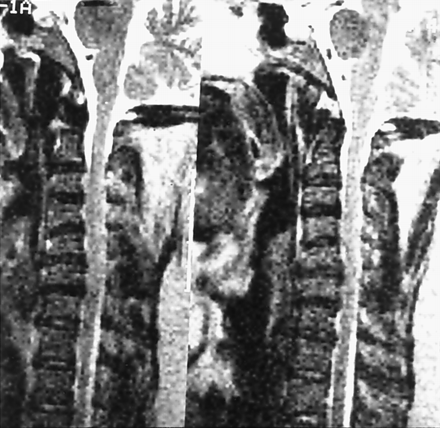 Fig 1.