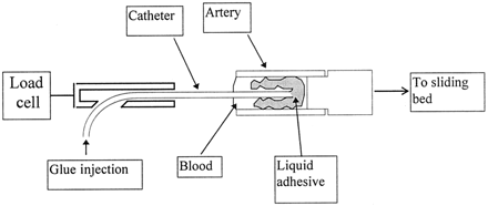 Fig 1.