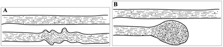 Fig 1.