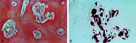 Fig 5.
