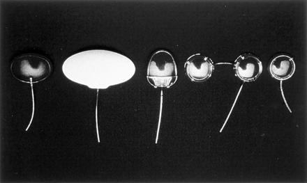 Fig 3.