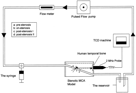 Fig 1.