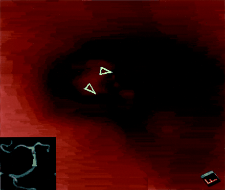 Fig 2.
