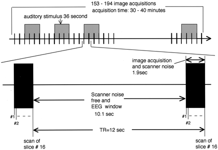 Fig 1.