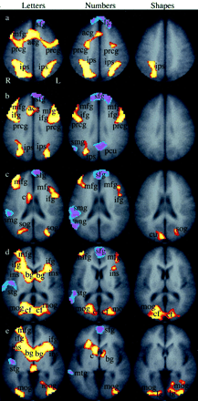 Fig 3.