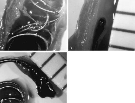 Fig 4.