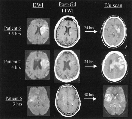 Fig 1.