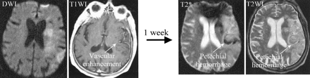 Fig 2.